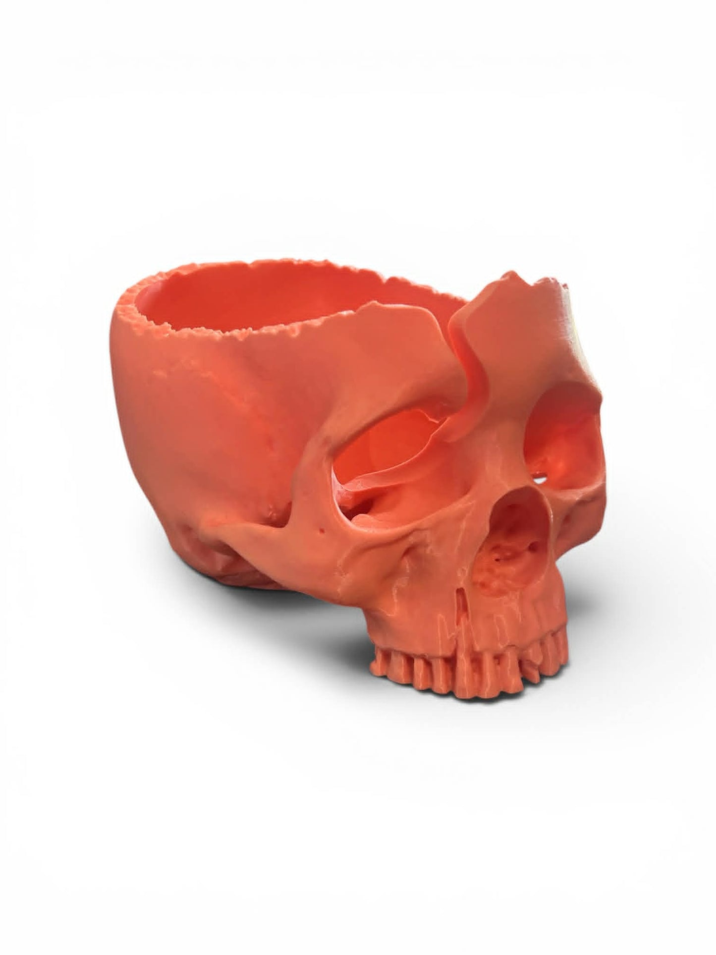 Skull Yarn Bowl