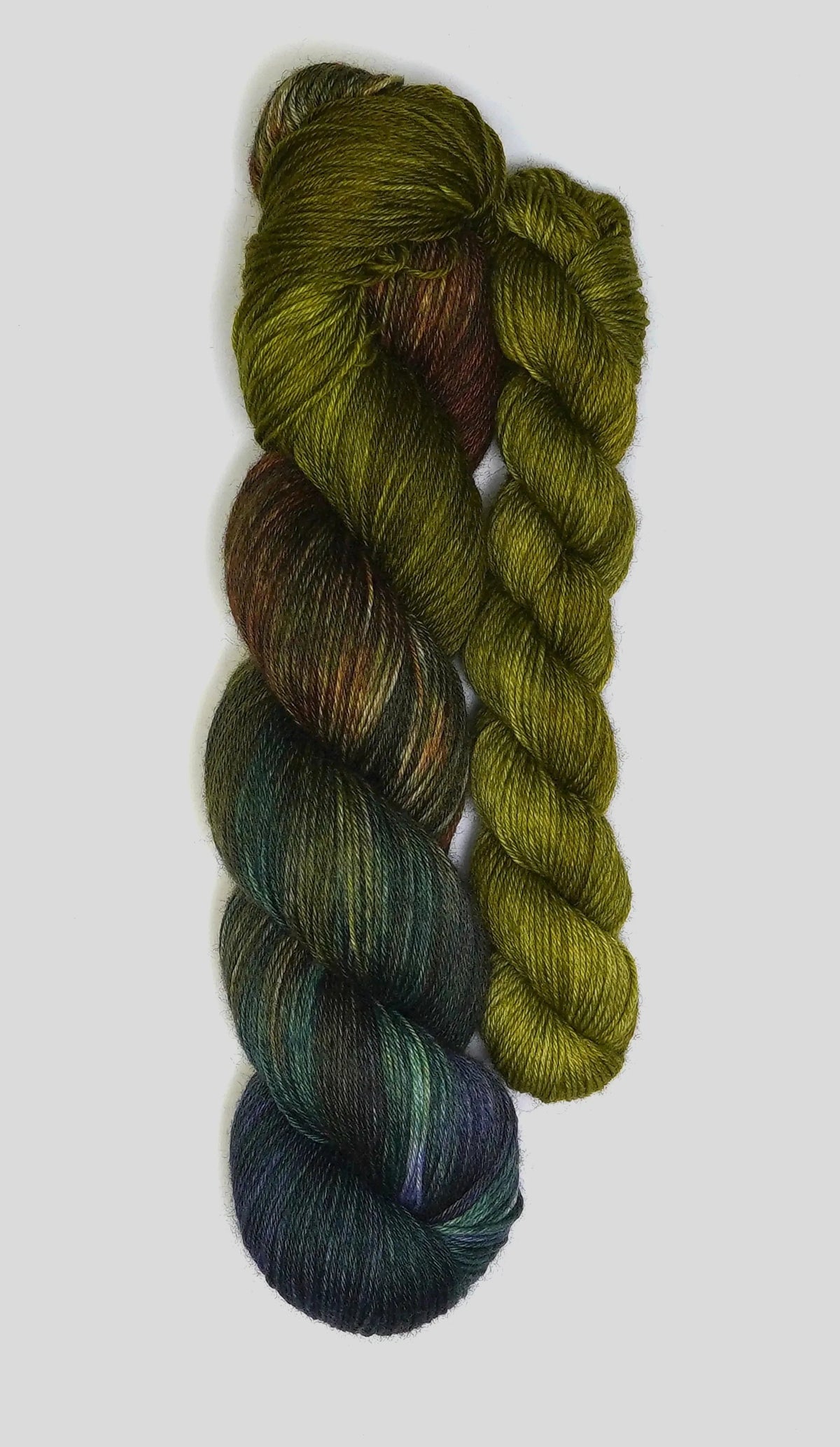 Wild Woollys - Mycelium Bloom - Fingering Sock Set