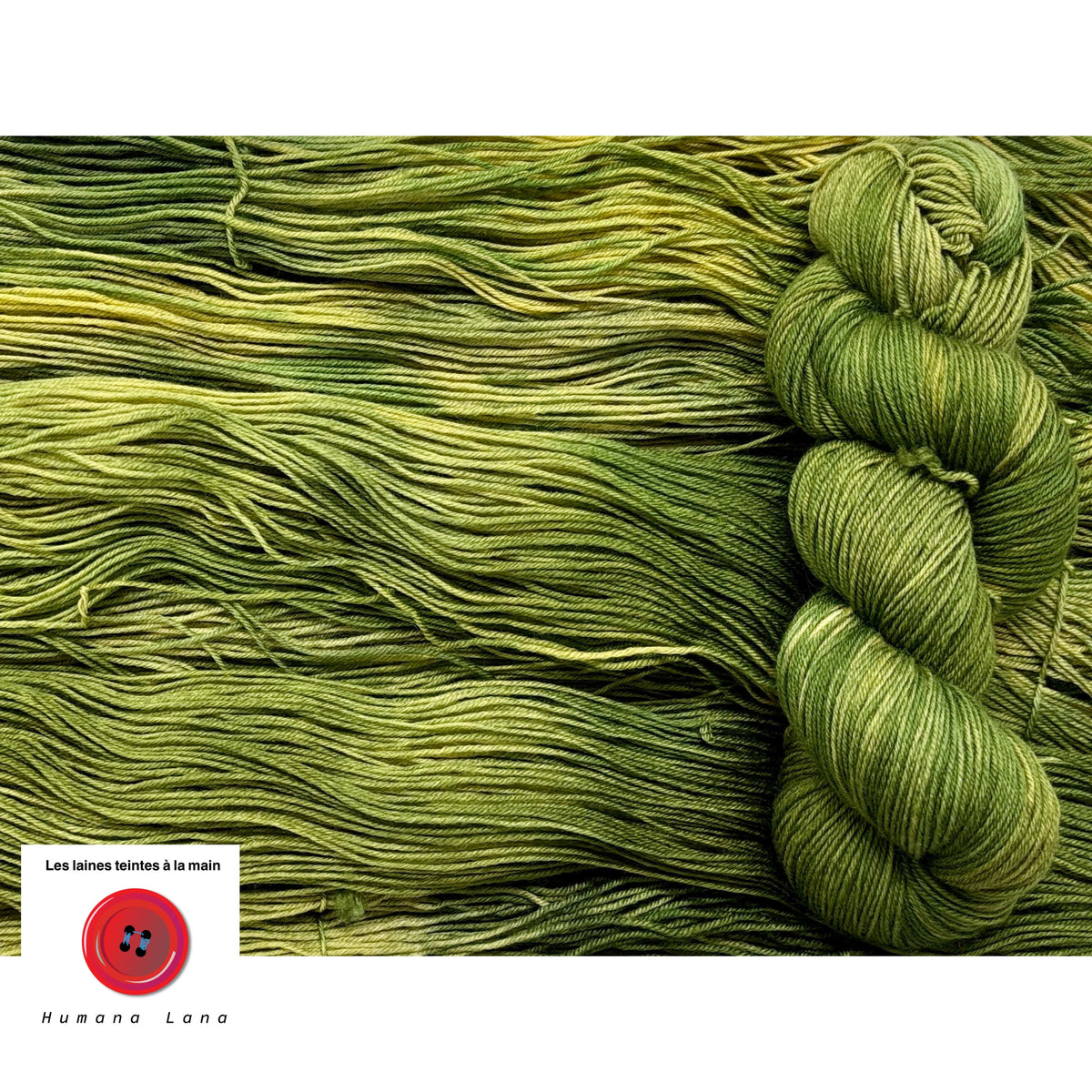 Hand-dyed Humana Lana wool